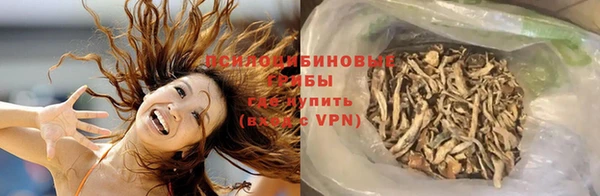 стаф Белоозёрский