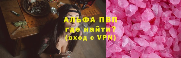 ПСИЛОЦИБИНОВЫЕ ГРИБЫ Белокуриха