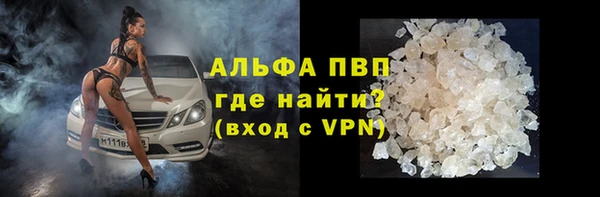 ПСИЛОЦИБИНОВЫЕ ГРИБЫ Белокуриха