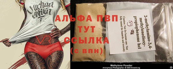 стаф Белоозёрский